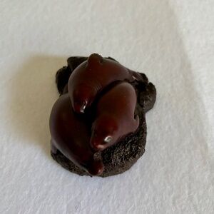 Boma Three Seals Sunning on Rock